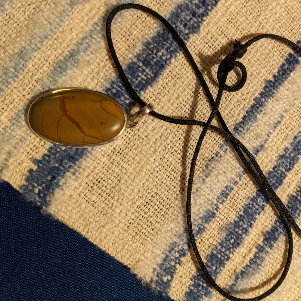 Picture Jasper on black silk cord